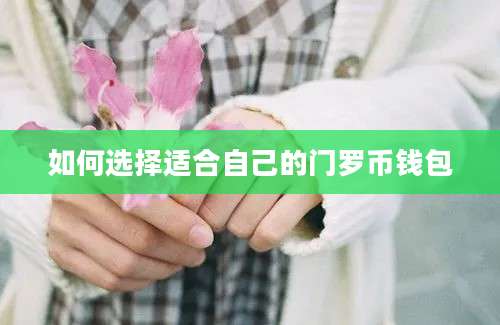 如何选择适合自己的门罗币钱包