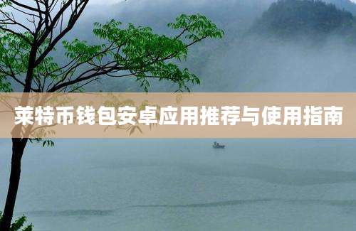 莱特币钱包安卓应用推荐与使用指南