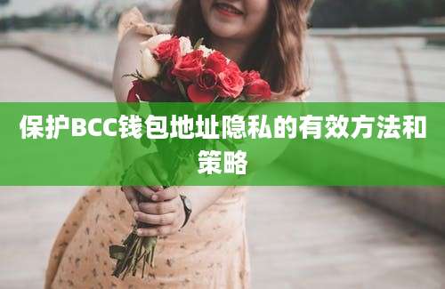 保护BCC钱包地址隐私的有效方法和策略