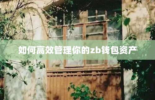 如何高效管理你的zb钱包资产