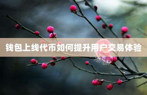 钱包上线代币如何提升用户交易体验