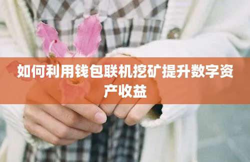 如何利用钱包联机挖矿提升数字资产收益