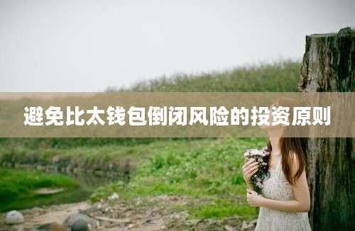 避免比太钱包倒闭风险的投资原则