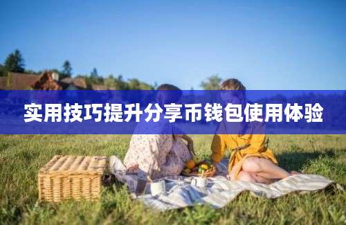 实用技巧提升分享币钱包使用体验