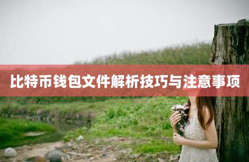 比特币钱包文件解析技巧与注意事项