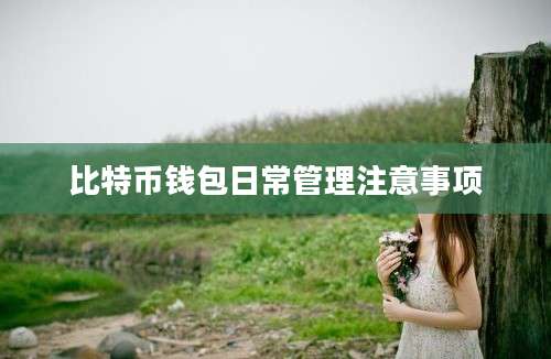 比特币钱包日常管理注意事项