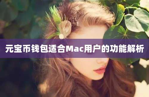 元宝币钱包适合Mac用户的功能解析