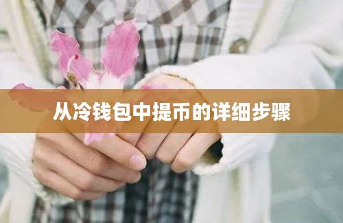 从冷钱包中提币的详细步骤