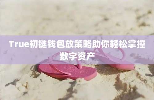 True初链钱包放策略助你轻松掌控数字资产
