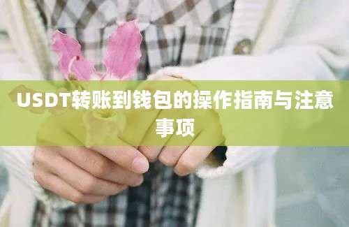 USDT转账到钱包的操作指南与注意事项