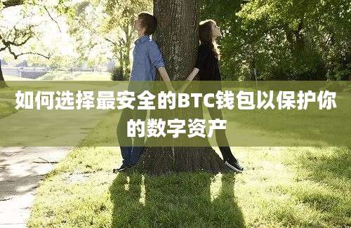 如何选择最安全的BTC钱包以保护你的数字资产