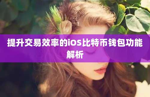 提升交易效率的iOS比特币钱包功能解析